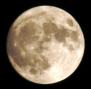 Full Moon-2-CROP.jpg